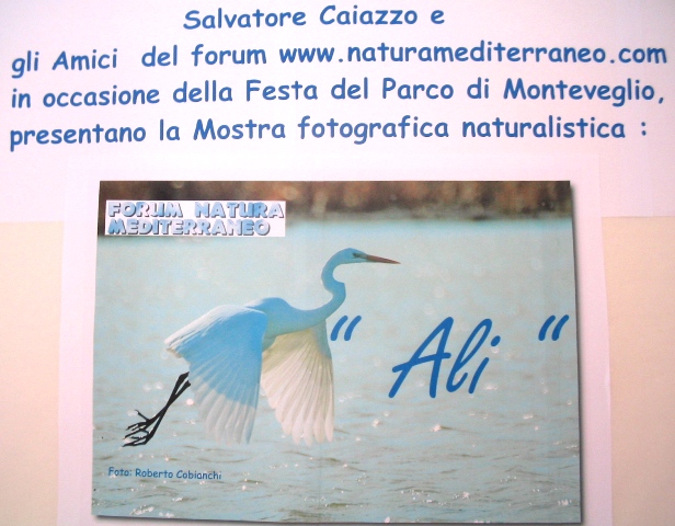 Le foto del parco in festa